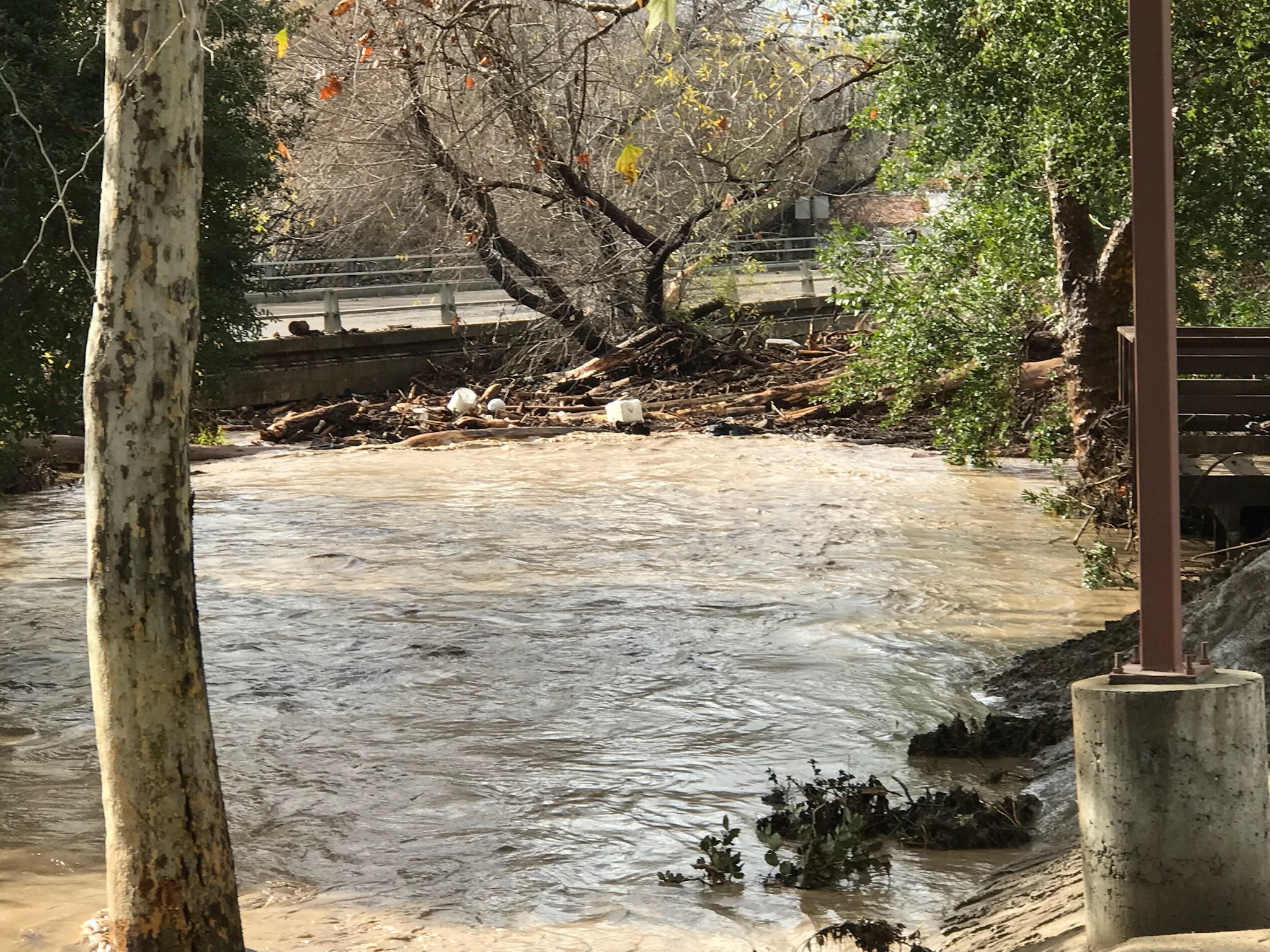 Flooded riverbank near a park
