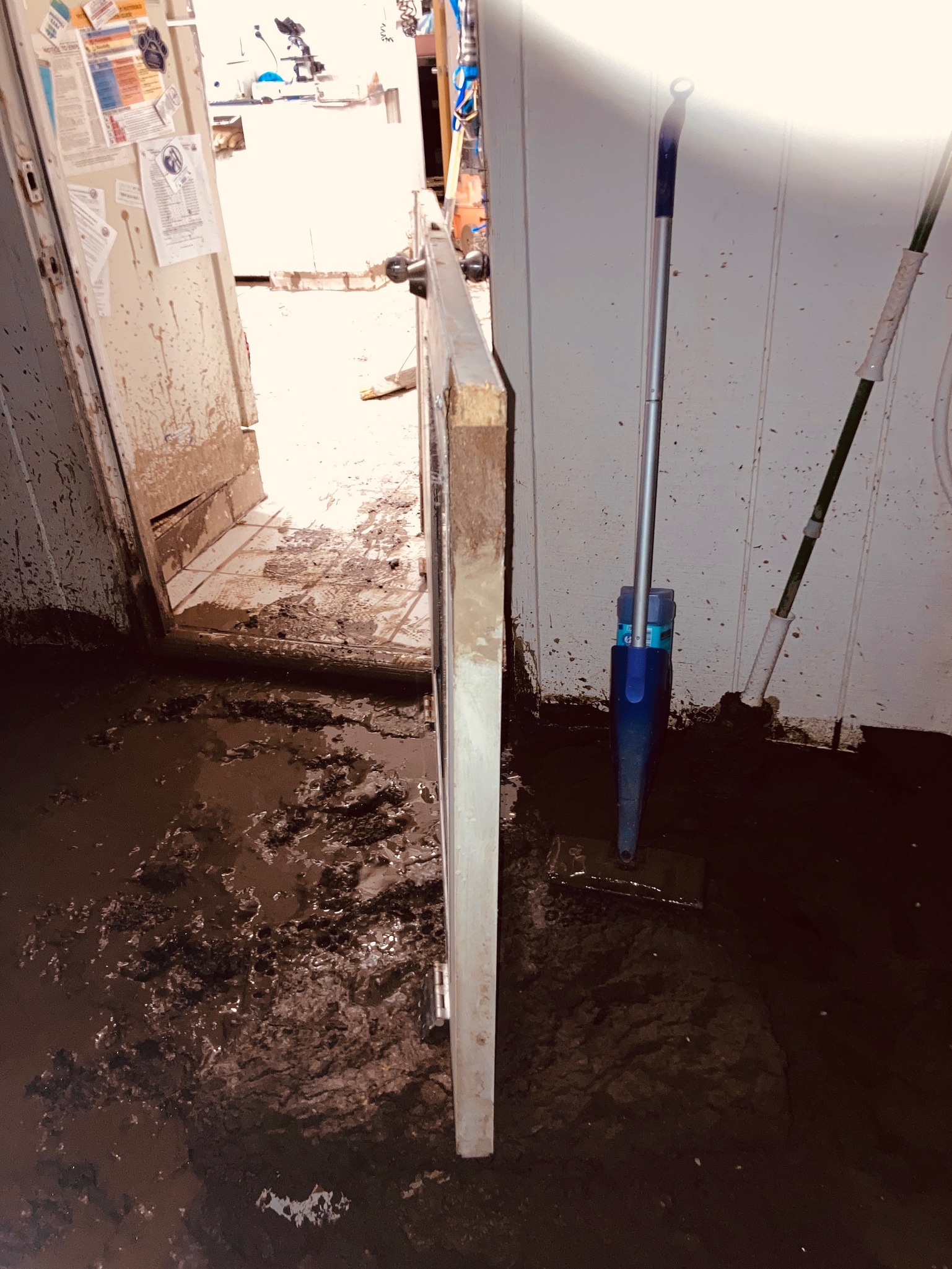 A door featuring a blue handle alongside