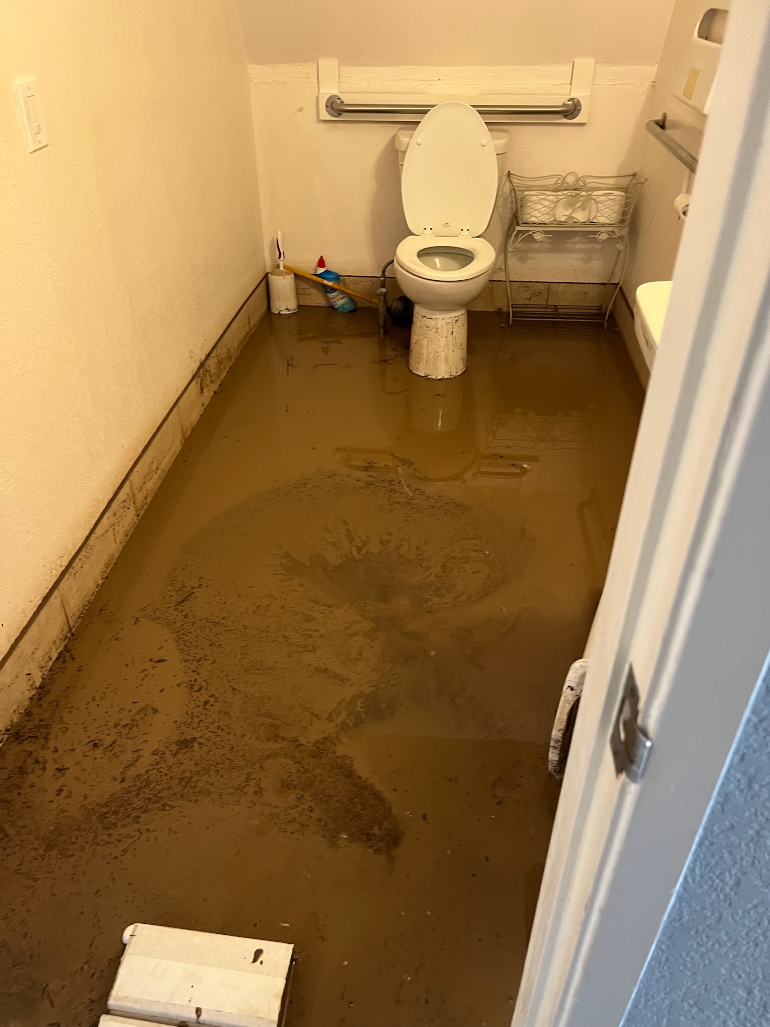 A flooded bathroom featuring a central toilet and sink