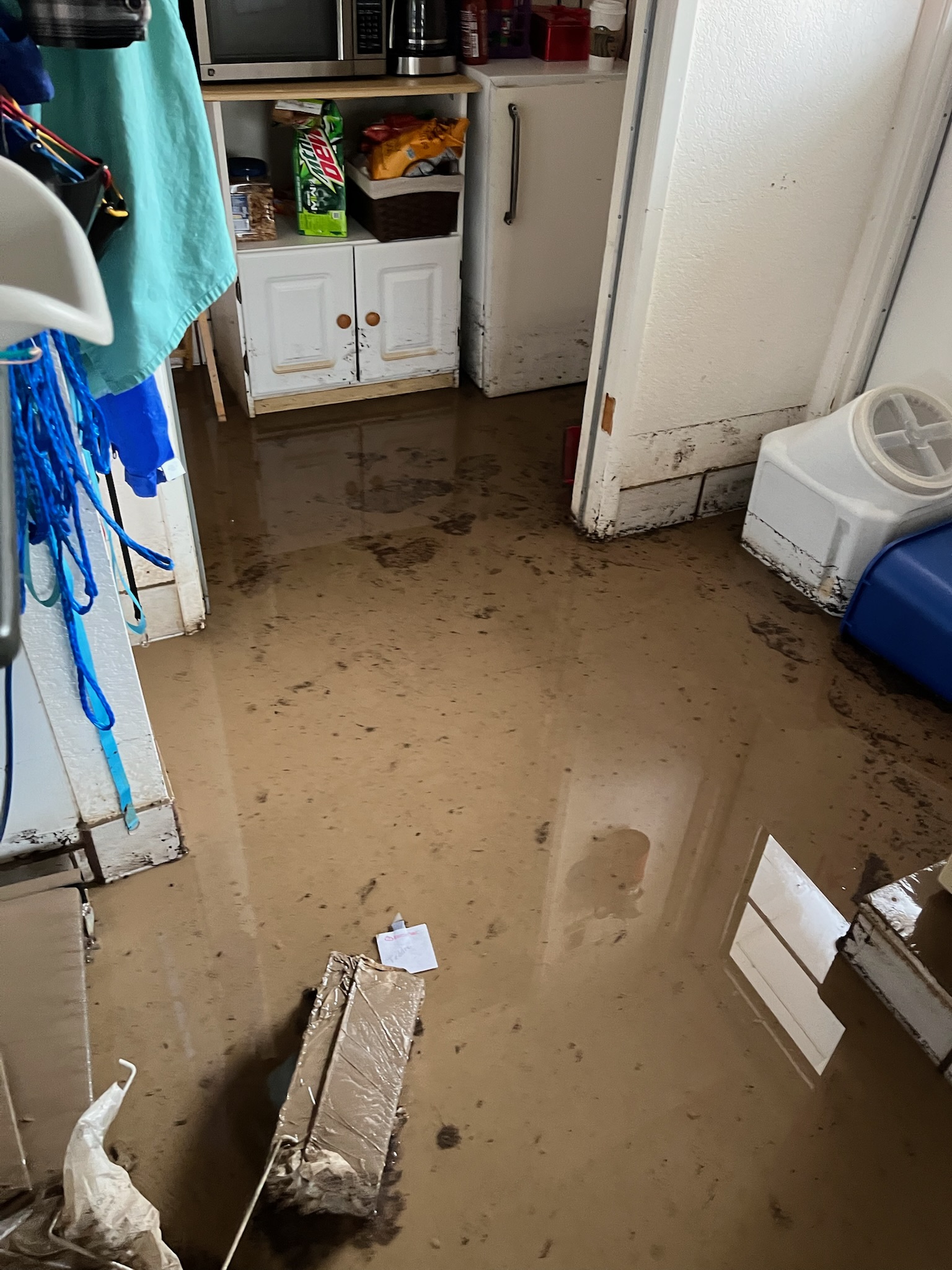 A flooded kitchen featuring a refrigerator and a washing machine