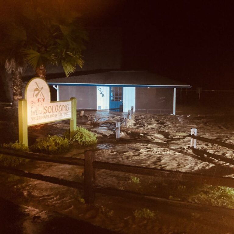 outside of the Solvang Veterinary Hospital building after flooding